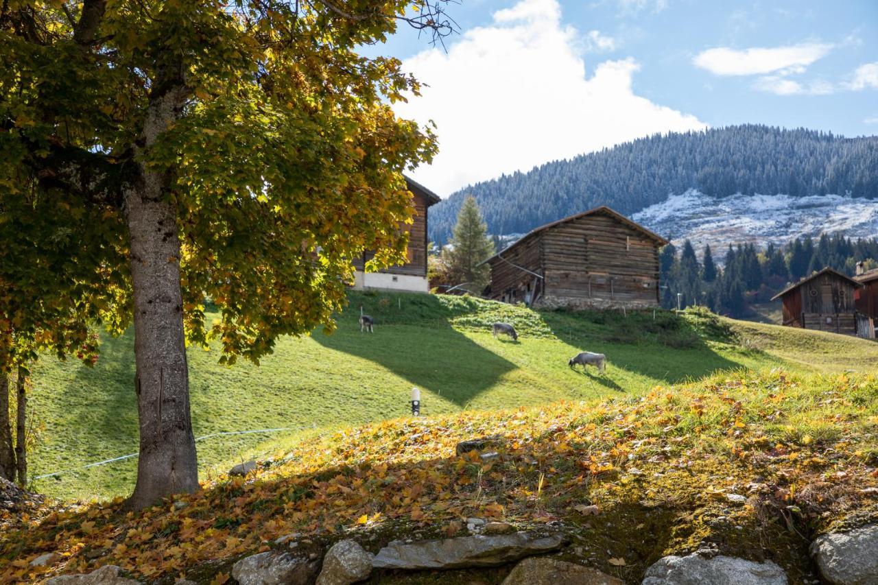 Alpenlodge Val Gronda Obersaxen Exteriör bild